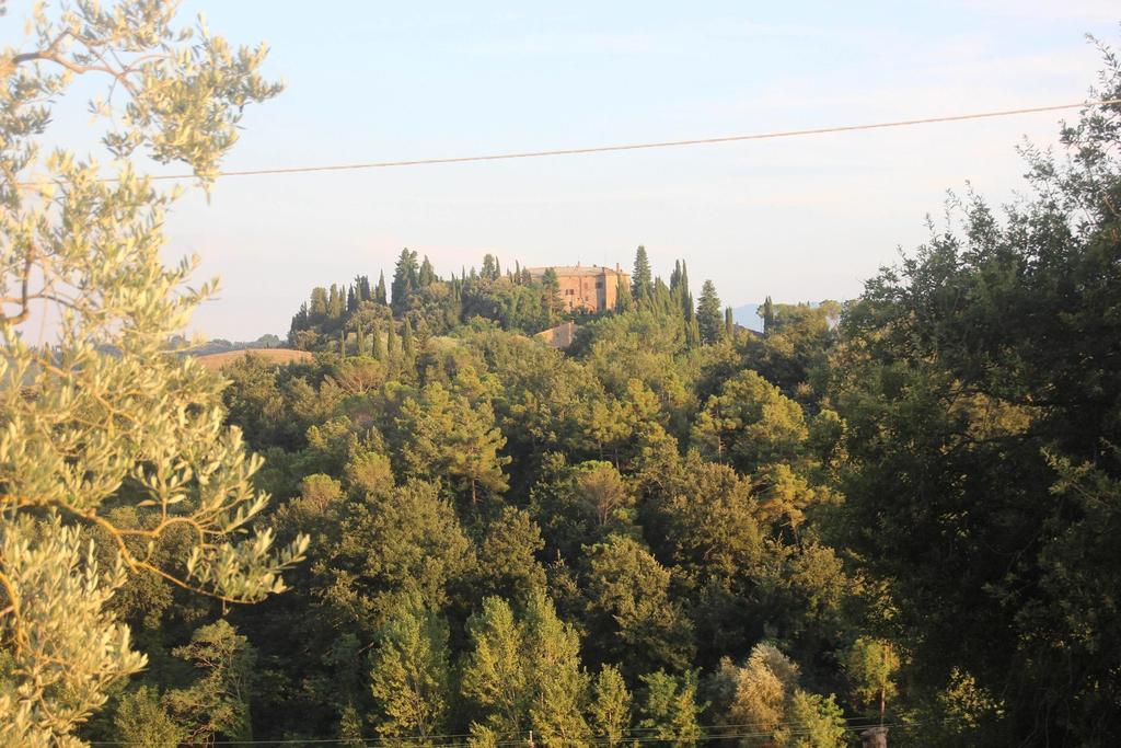 Podere Ferranino At Ville Ferrano San Giovanni d'Asso Eksteriør billede